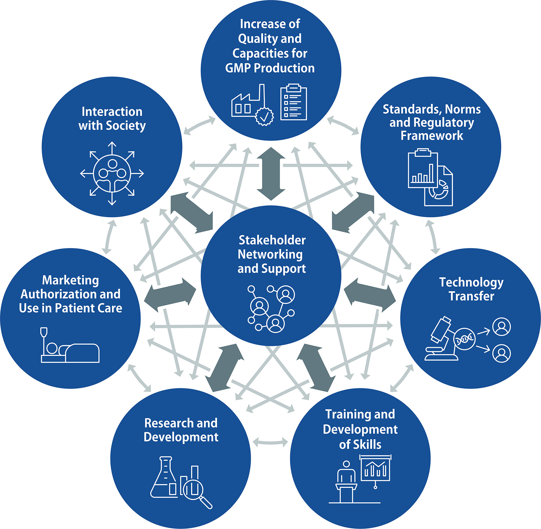 Germany’s National Strategy for Gene- and Cell-Based Therapies