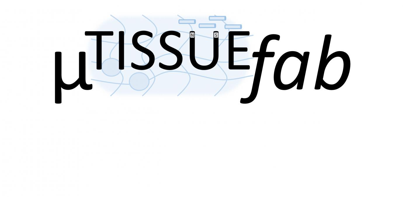 Logo µTISSUEfab