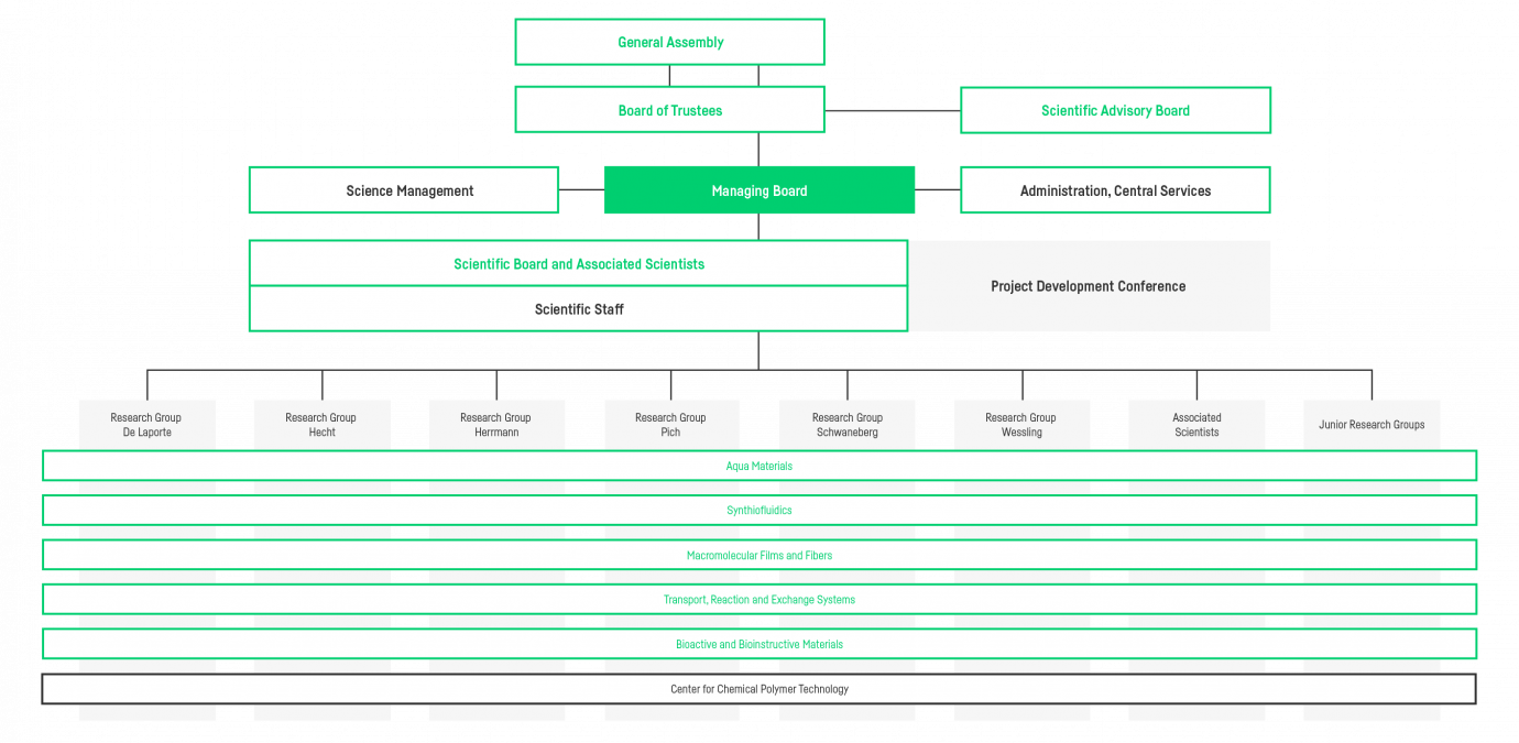 Organisational chart of the DWI Institute