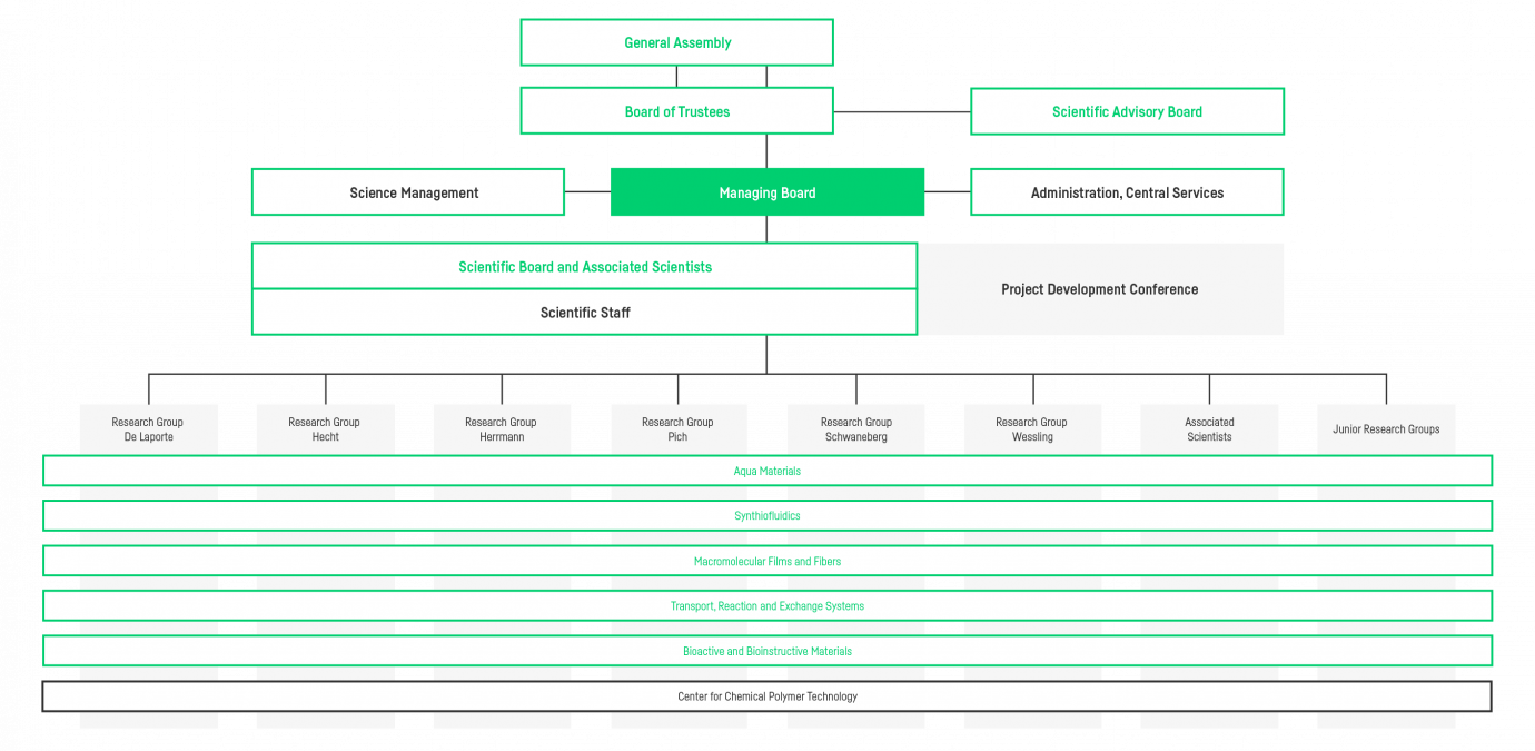 Organisational chart of the DWI - Leibniz Institute Organisational chart of the DWI Institute