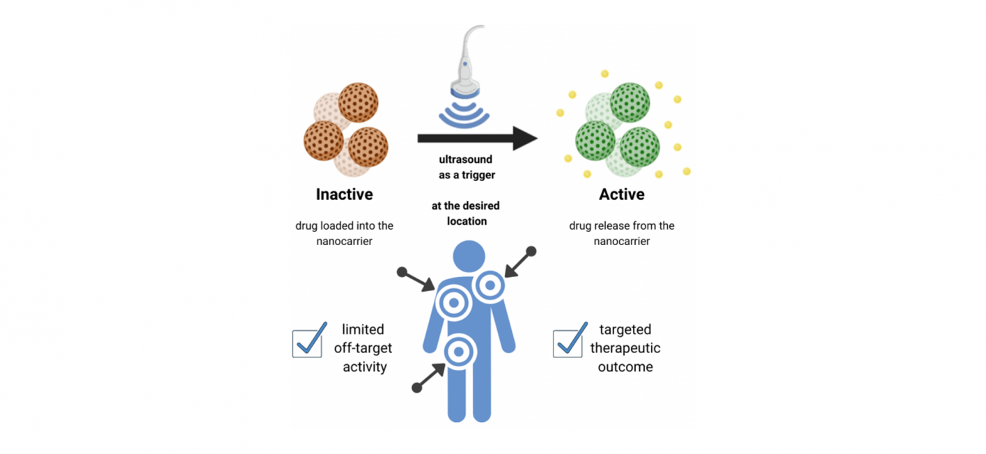 Ultrasound to make therapeutic nucleic acids more effective