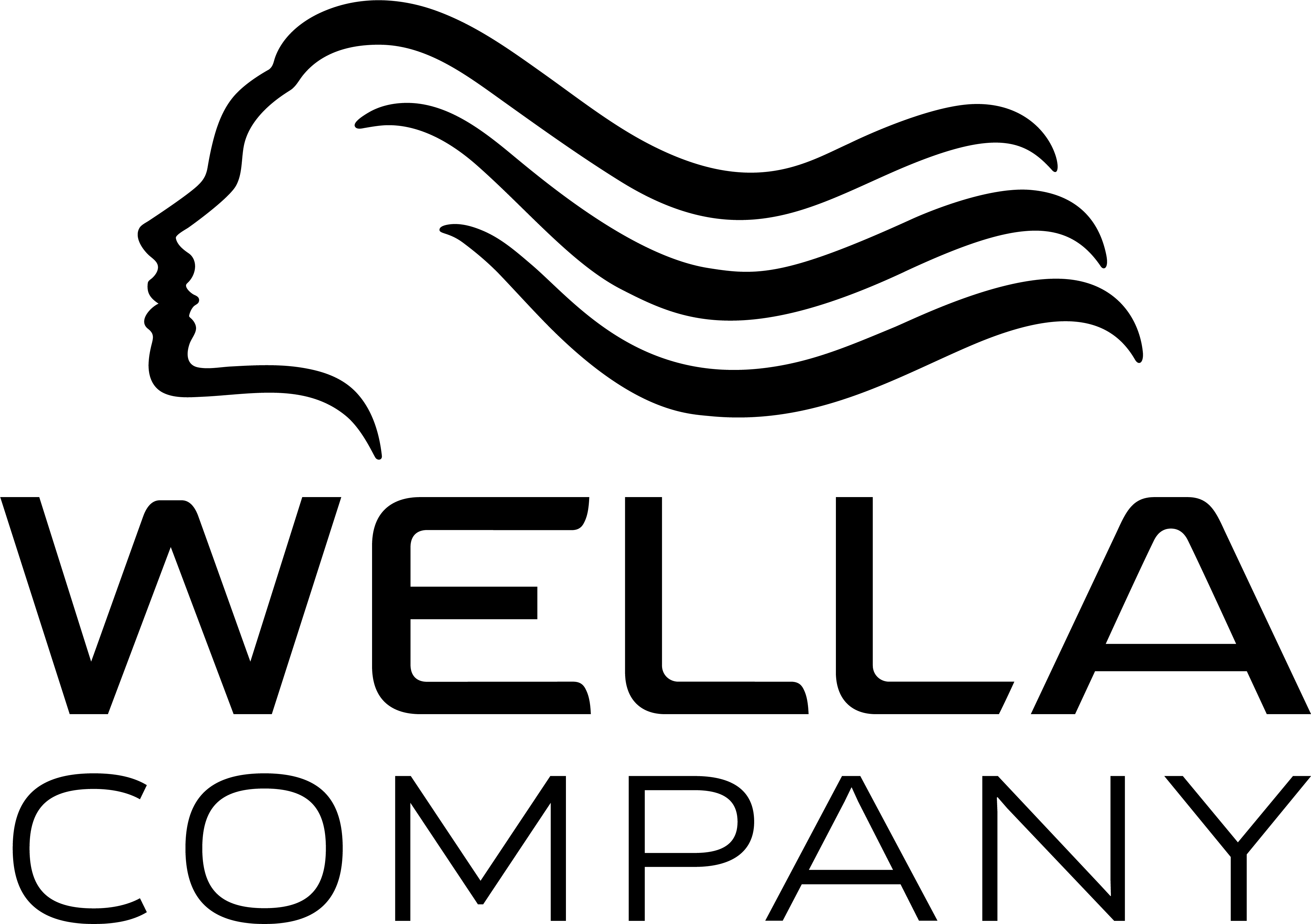 Logo_Wella