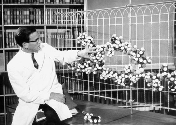 Scientist shows macromolecular model Scientist shows macromolecular model